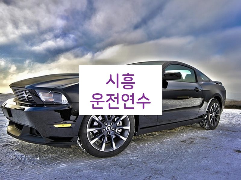시흥운전연수 후기