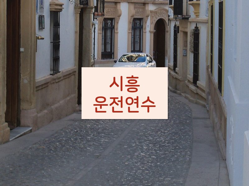 시흥운전연수 후기