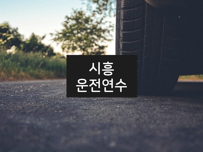 시흥운전연수 후기