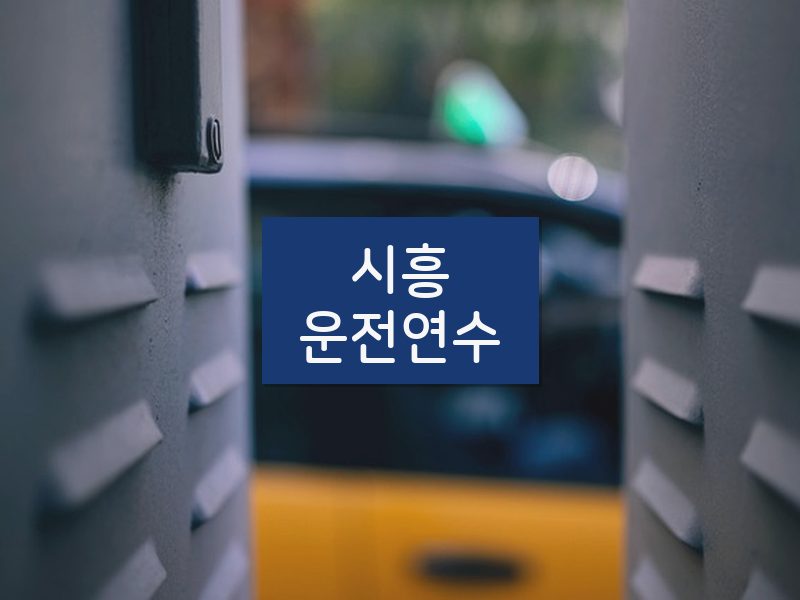 시흥운전연수 후기