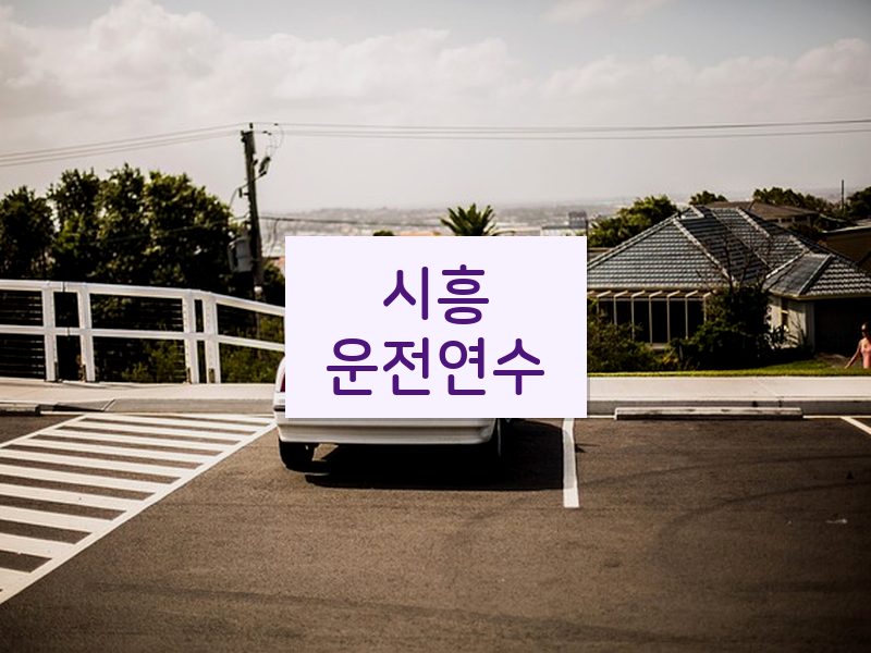 시흥운전연수 후기