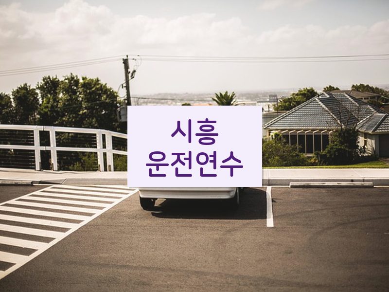 시흥운전연수 후기