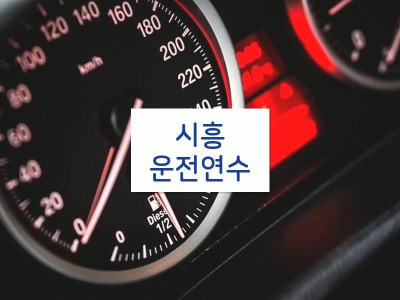 시흥운전연수 후기