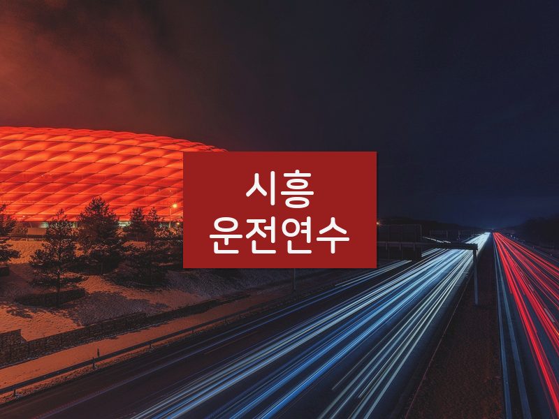 시흥운전연수 후기