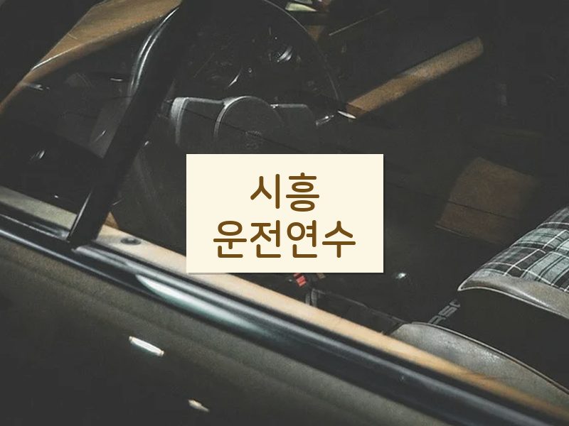 시흥운전연수 후기