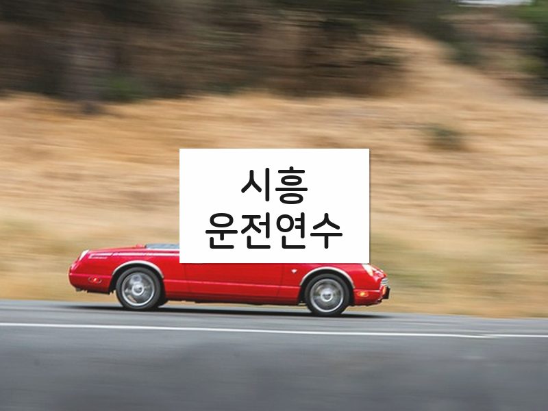시흥운전연수 후기