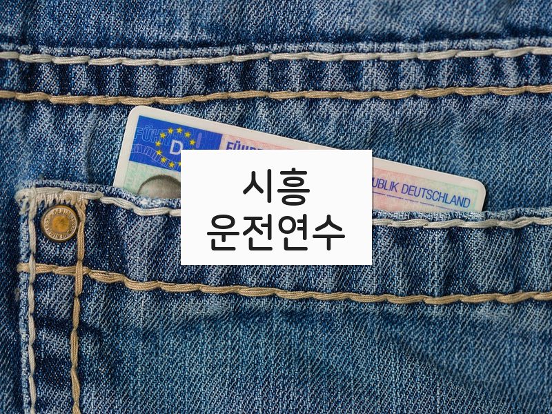 시흥운전연수 후기
