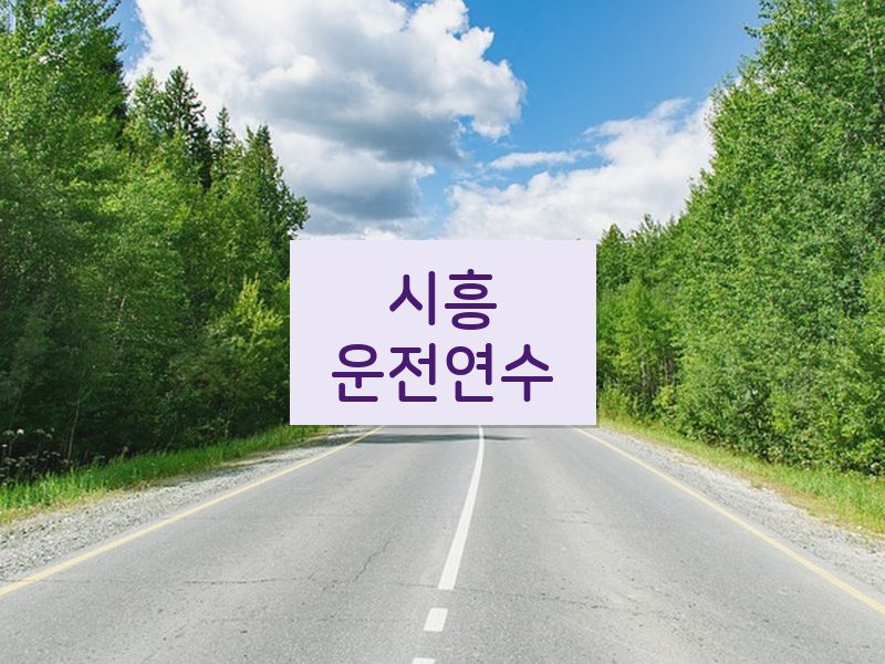 시흥운전연수 후기