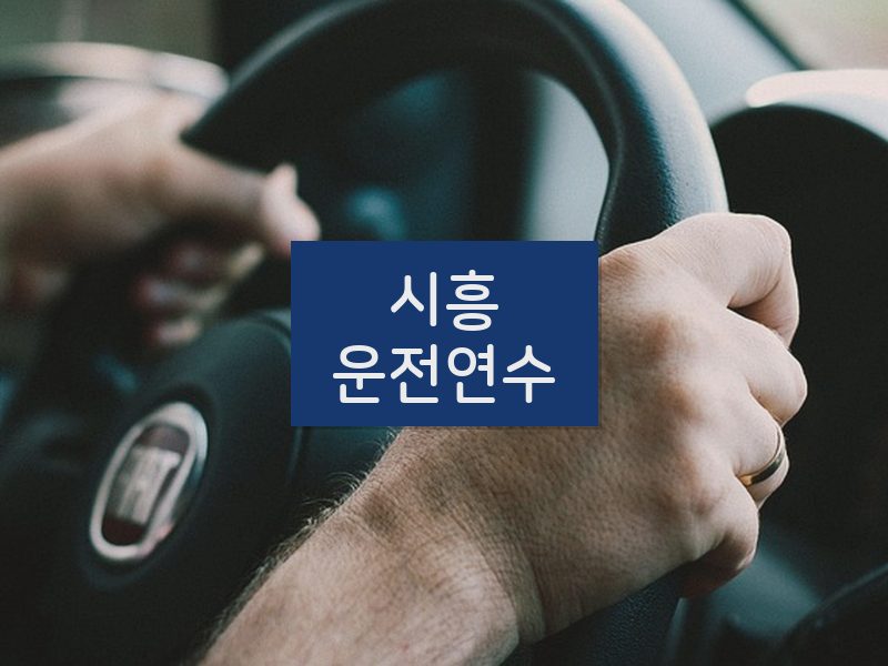 시흥운전연수 후기