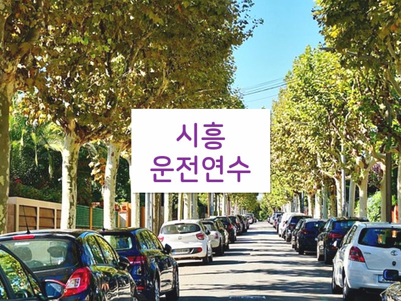 시흥운전연수 후기