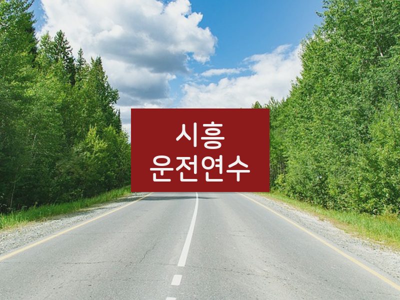 시흥운전연수 후기