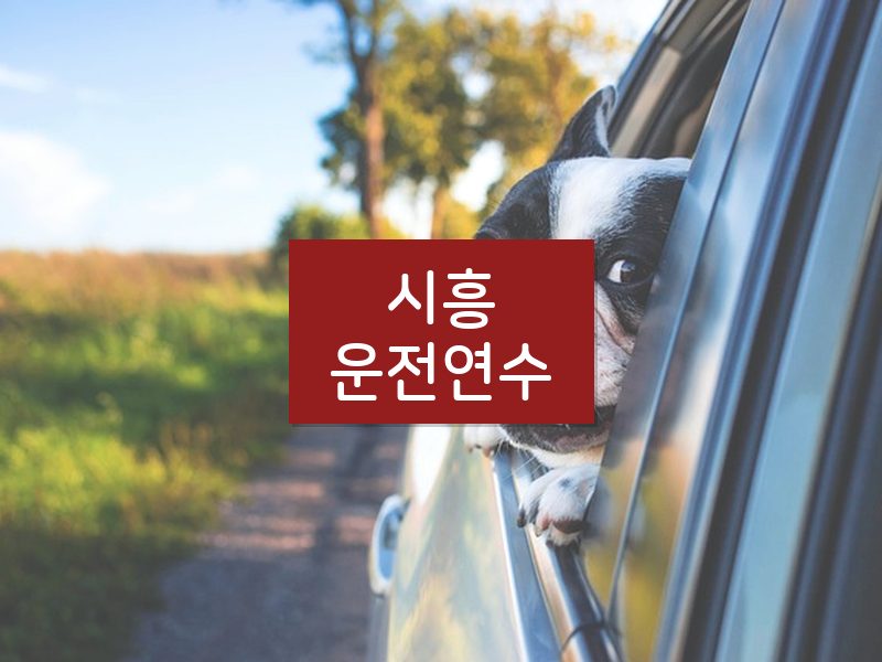 시흥운전연수 후기