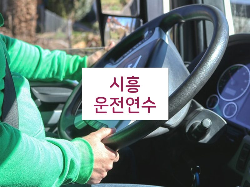 시흥운전연수 후기