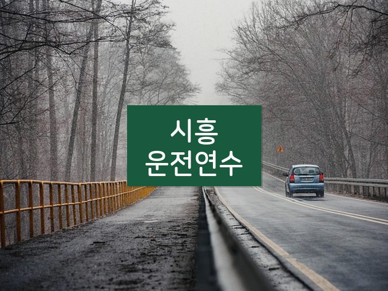 시흥운전연수 후기