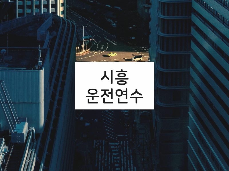 시흥운전연수 후기