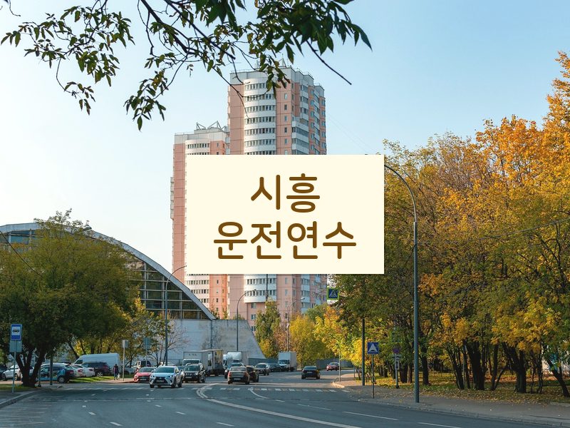 시흥운전연수 후기