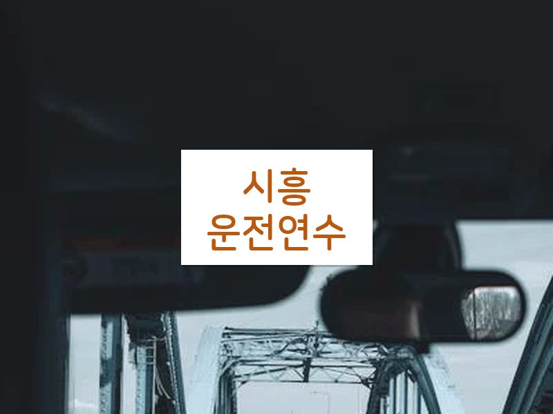 시흥운전연수 후기
