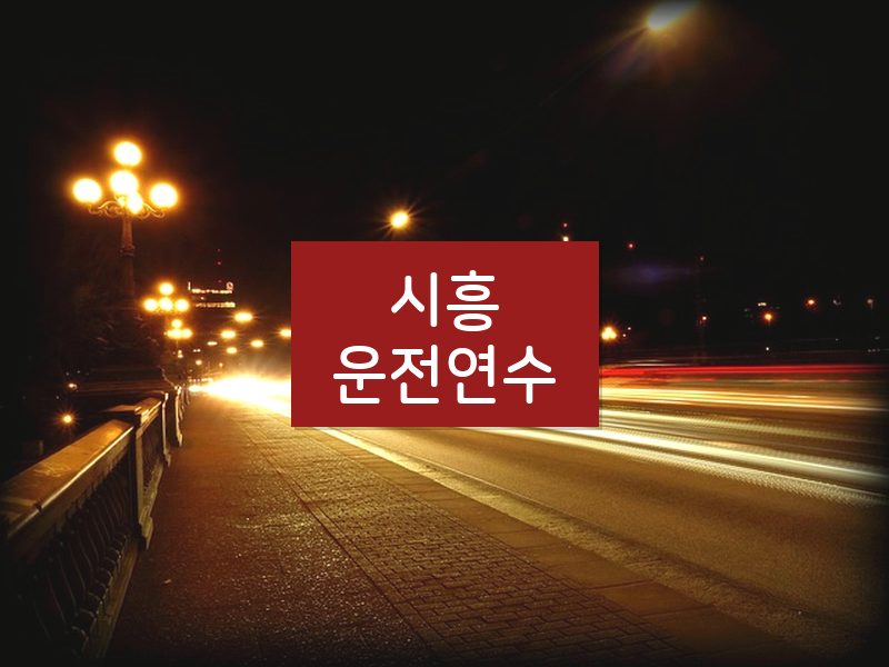 시흥운전연수 후기