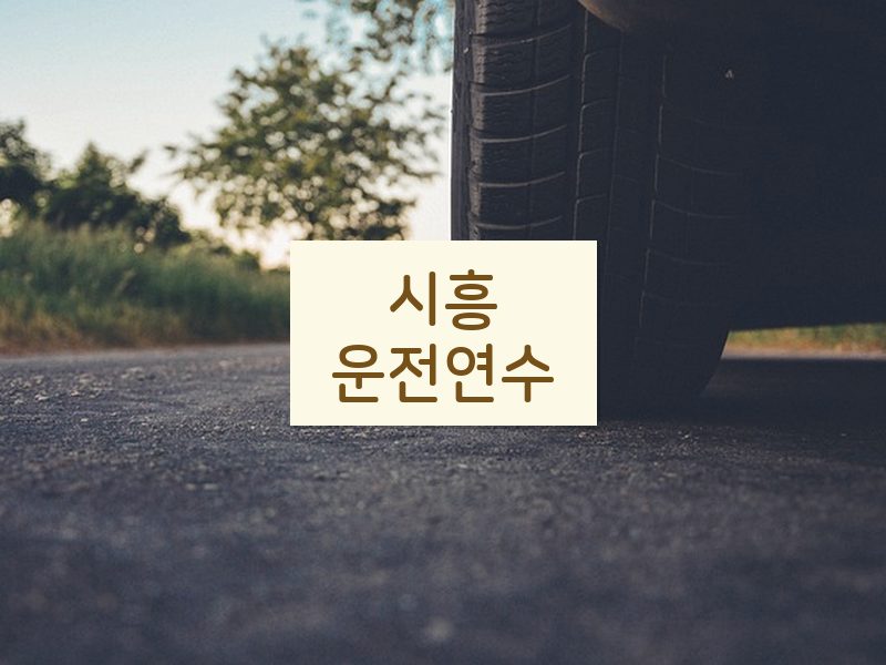 시흥운전연수 후기