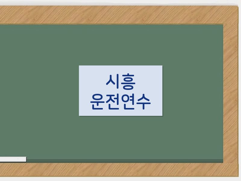 시흥운전연수 후기