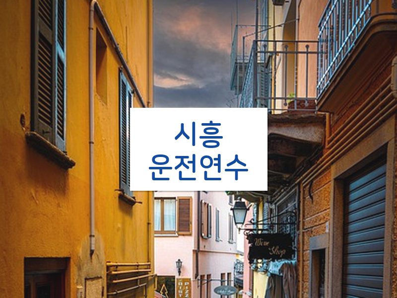 시흥운전연수 후기