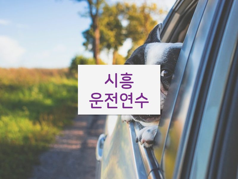 시흥운전연수 후기