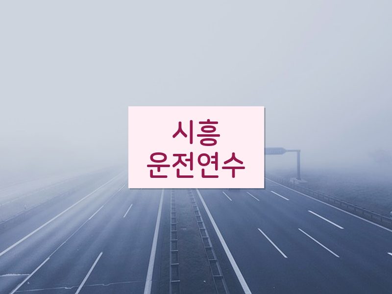 시흥운전연수 후기