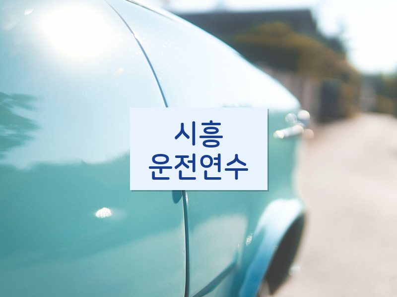 시흥운전연수 후기