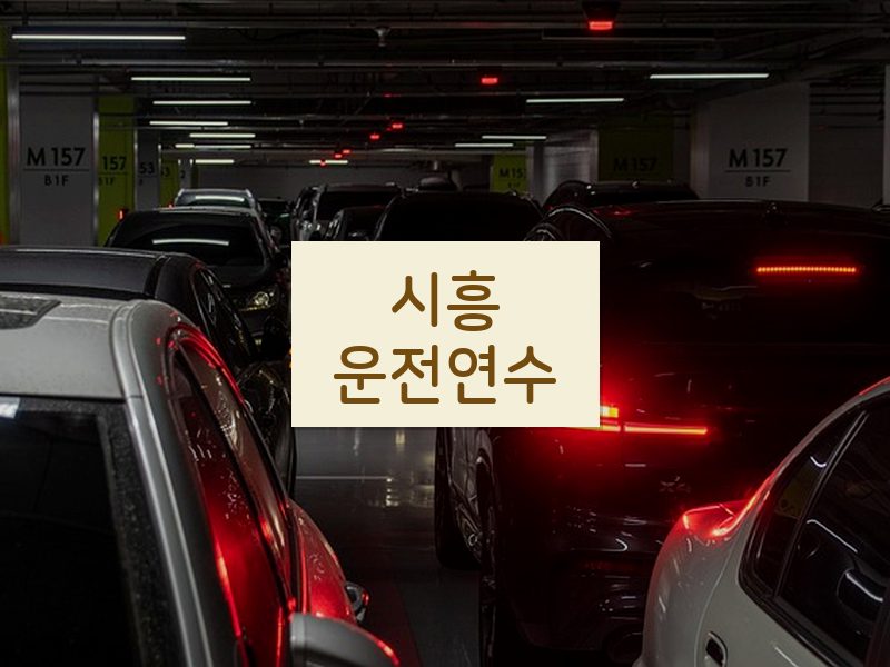 시흥운전연수 후기