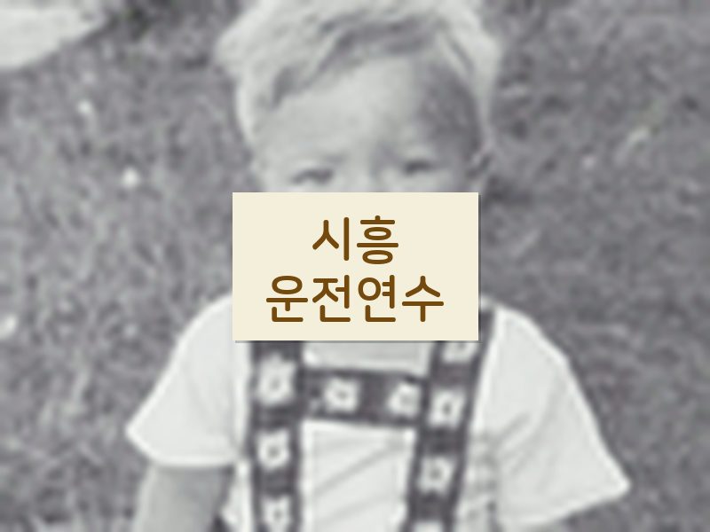 시흥운전연수 후기