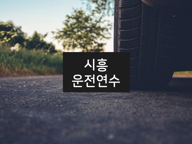 시흥운전연수 후기