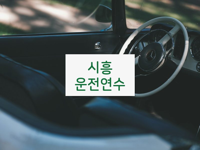 시흥운전연수 후기