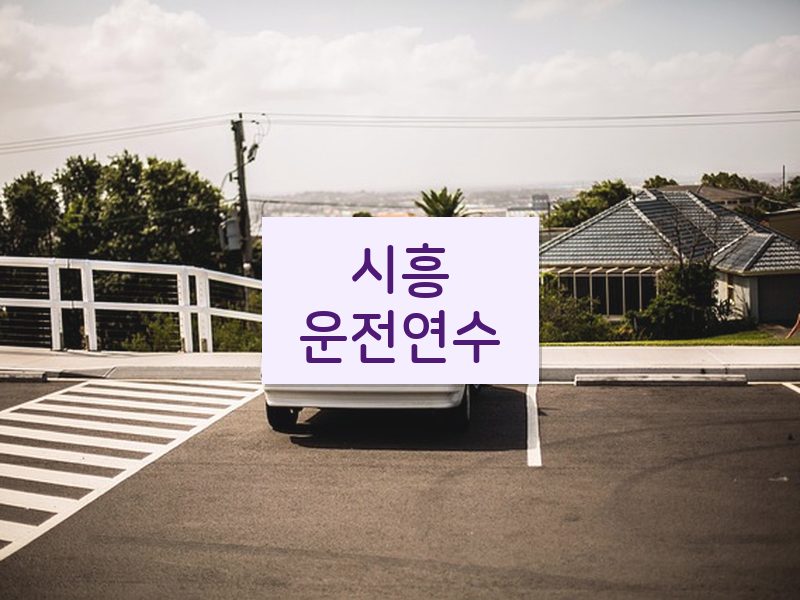시흥운전연수 후기