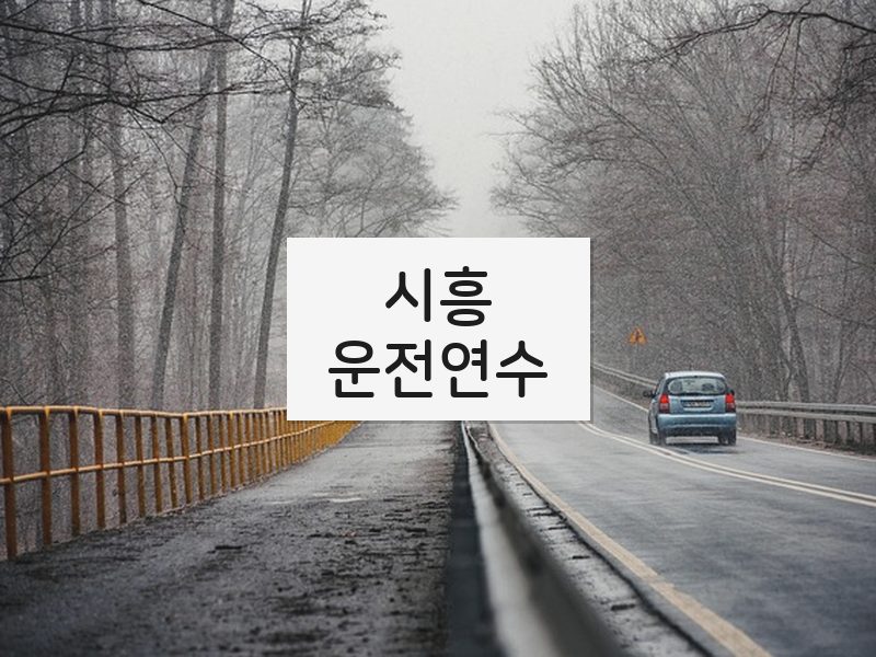 시흥운전연수 후기