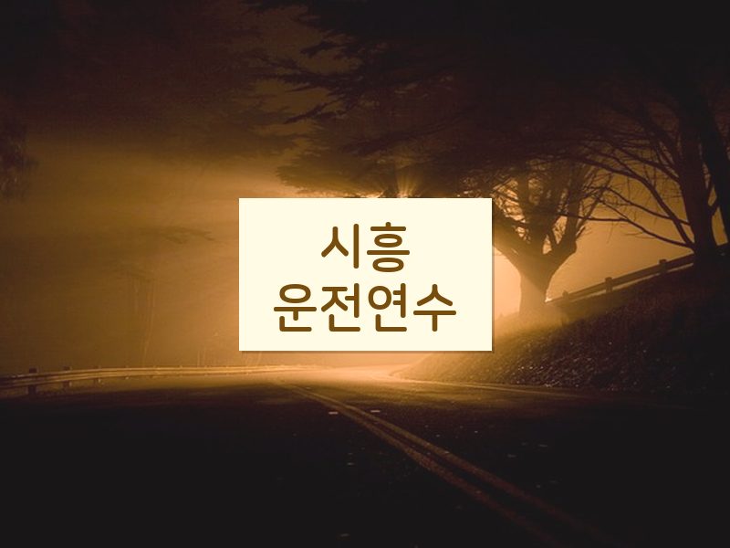 시흥운전연수 후기
