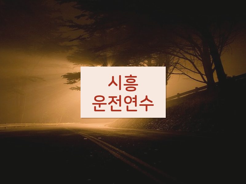 시흥운전연수 후기
