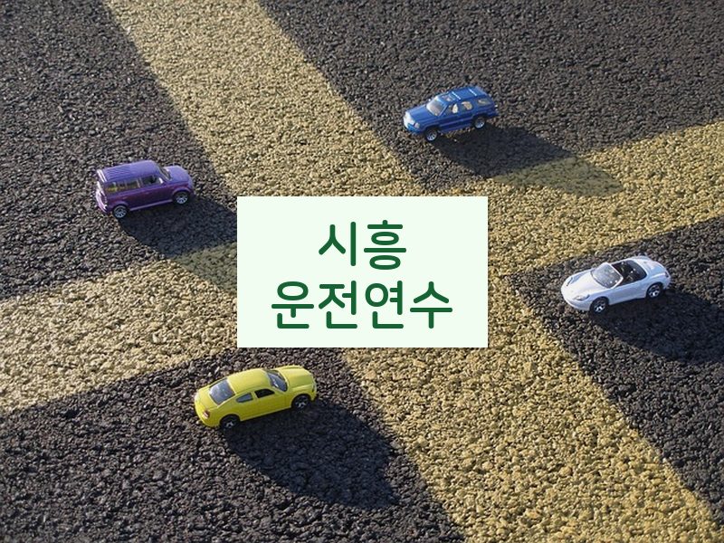 시흥운전연수 후기