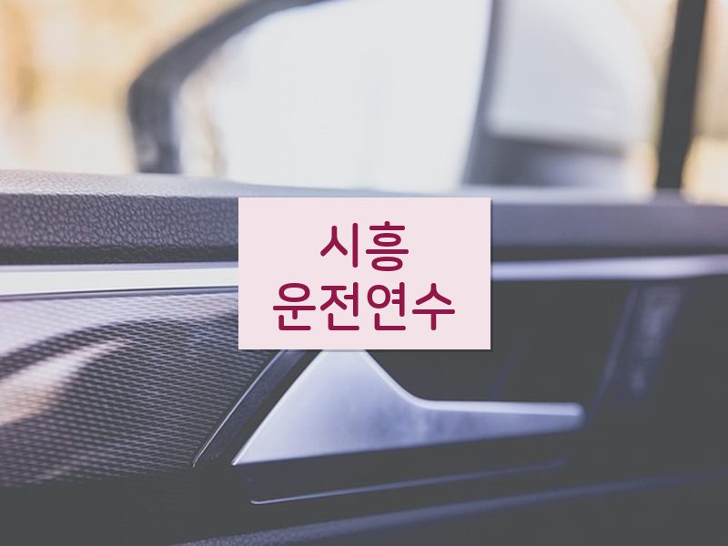 시흥운전연수 후기
