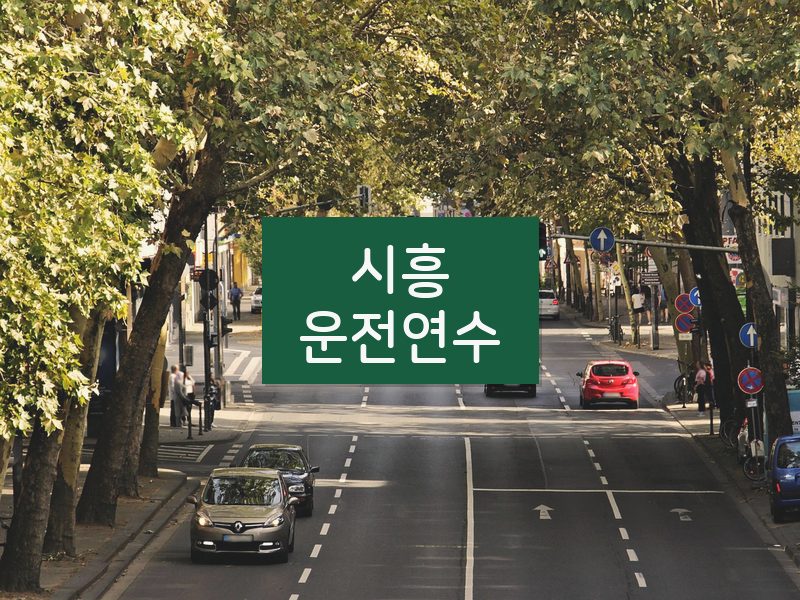 시흥운전연수 후기
