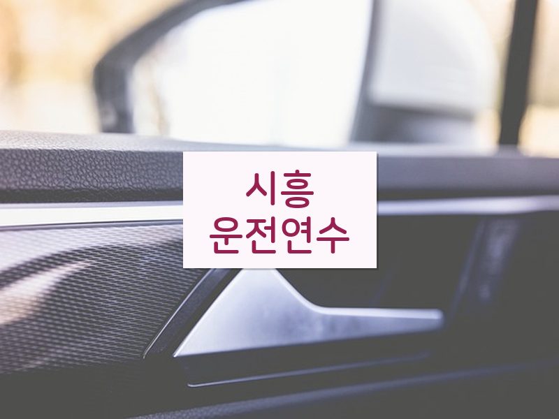 시흥운전연수 후기