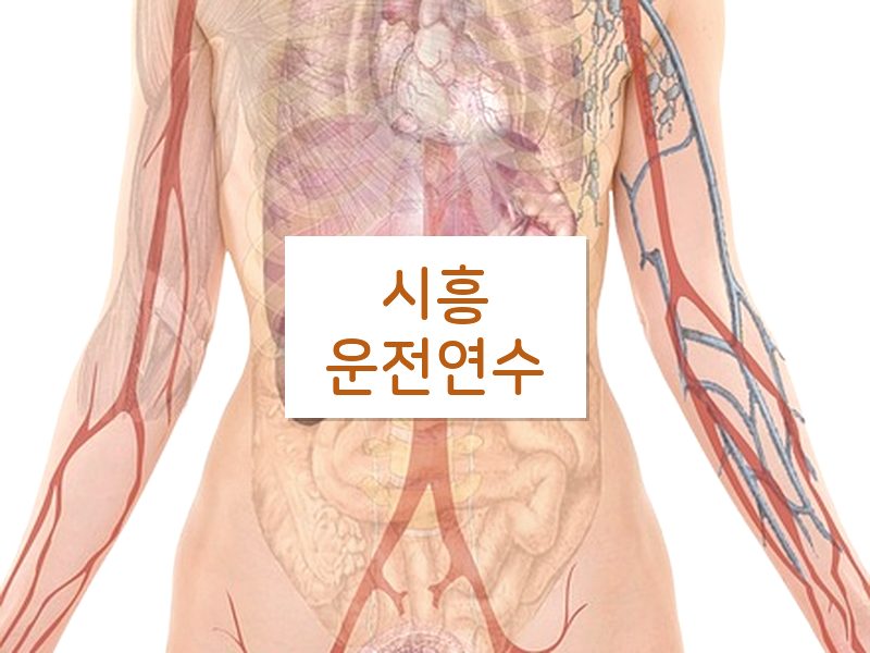 시흥운전연수 후기