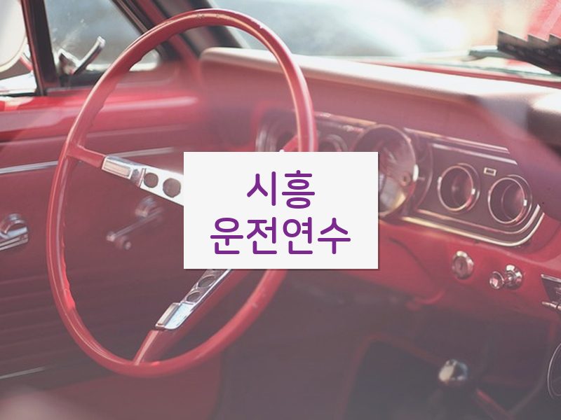 시흥운전연수 후기