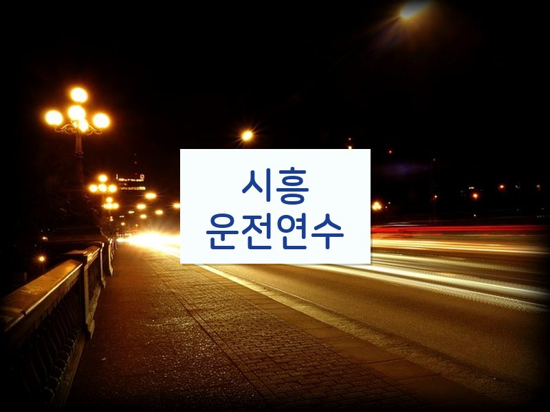 시흥운전연수 후기