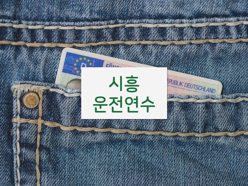 시흥운전연수 후기