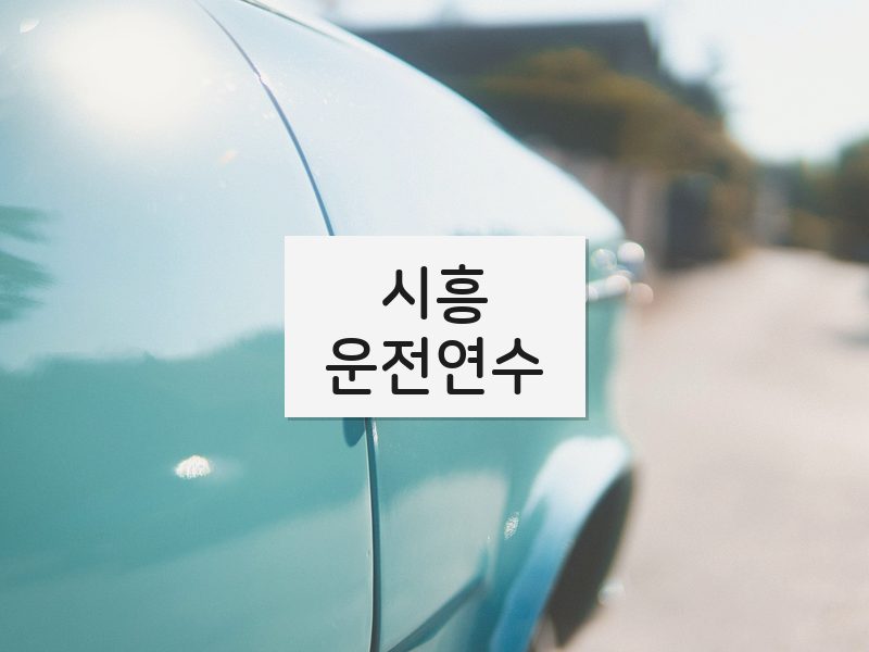 시흥운전연수 후기