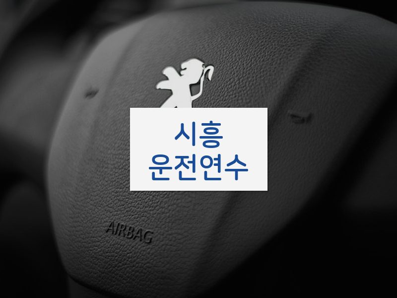 시흥운전연수 후기