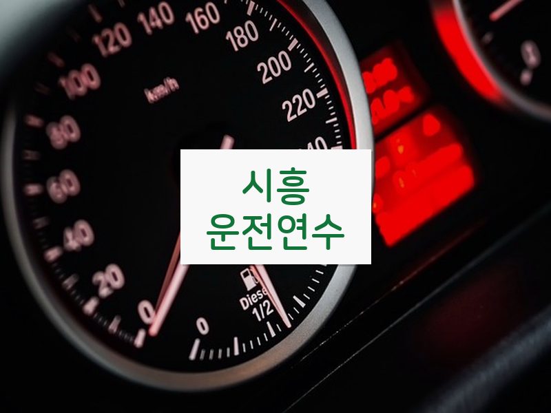 시흥운전연수 후기