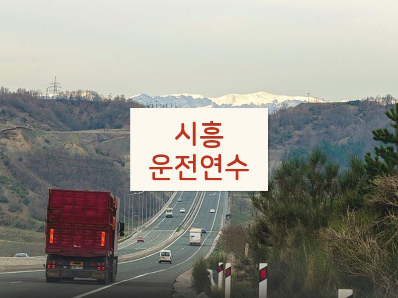 시흥운전연수 후기
