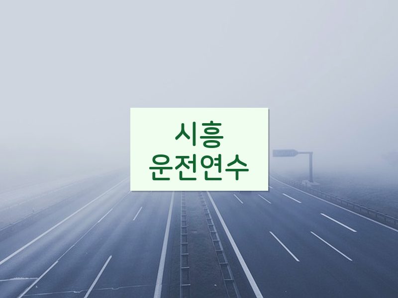 시흥운전연수 후기