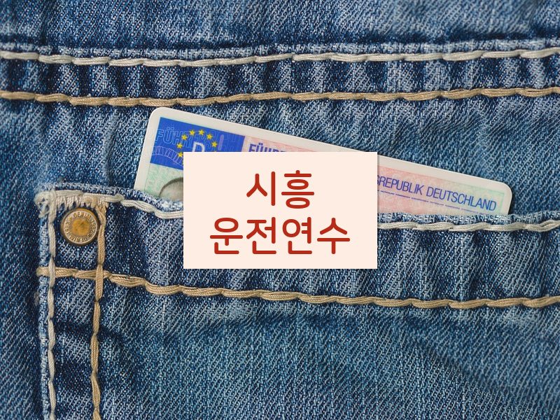 시흥운전연수 후기